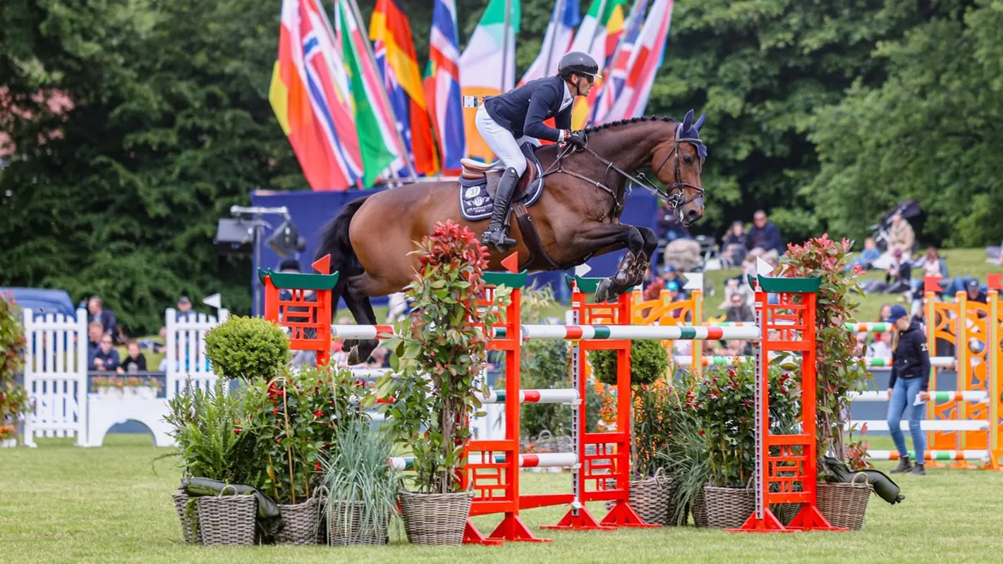 JW Horses Pferde Mava Titelbild