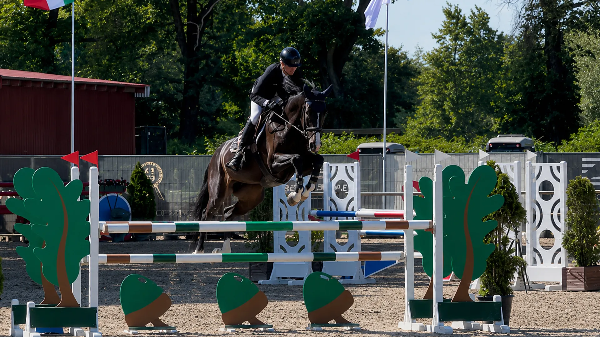 JW Horses Verkaufspferde Madonna